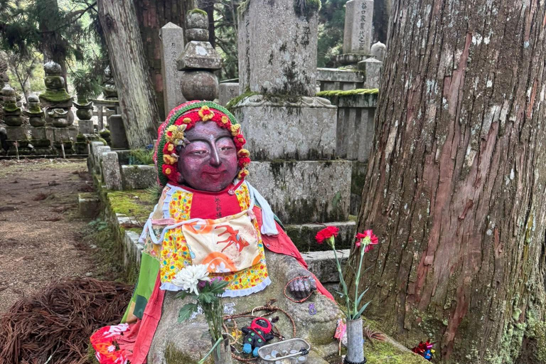 From Osaka/Kyoto: Mt. Koya & Nachi Falls Private Day Trip
