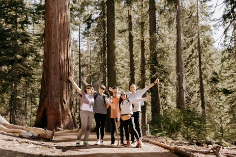 Ab San Francisco: 2-tägige geführte Yosemite-Tour mit Abholung