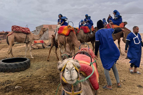 From Marrakech: Agafay Desert Quad Bike Tour with Dinner