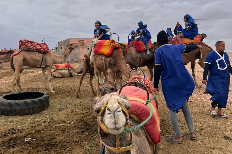 From Marrakech: Agafay Desert Quad Bike Tour with Dinner