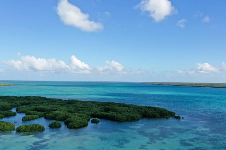 From Uvero Alto: Classic Catamaran Cruise to Saona Island