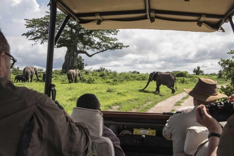 4-dniowe safari na kempingu Maasai Mara i nad jeziorem Nakuru jeepem 4x4