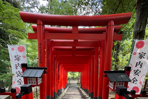 Nagoya: Great Buddha & Treasures of Chikusa Walking Tour