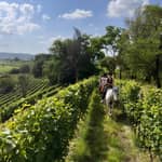 Franciacorta: passeggiata a cavallo tra vigneti e villaggi