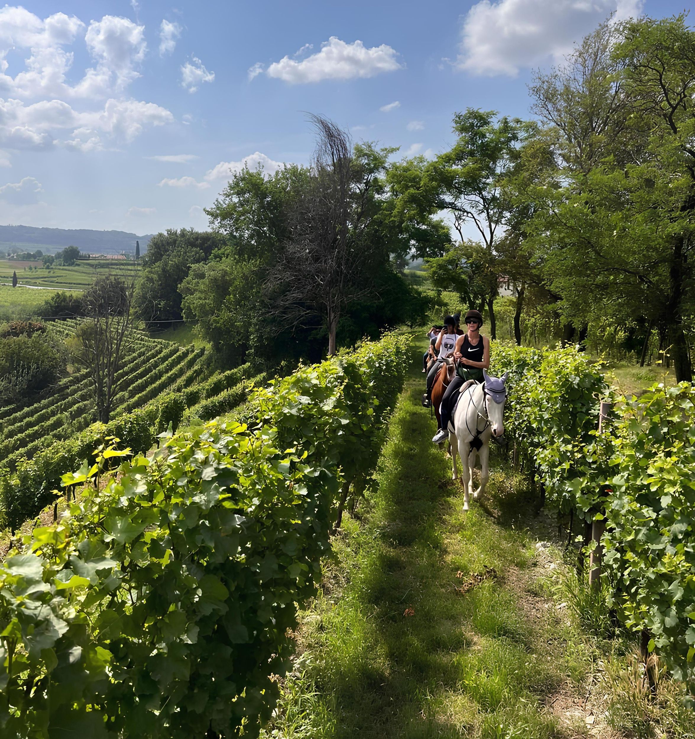 Franciacorta: Ausritt durch Weinberge und Dörfer