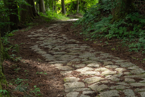 Nakasendo Samurai Road Hiking tour from Nagoya
