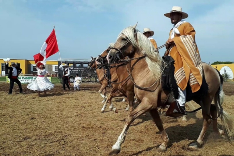 Trujillo: Chan Chan + Walking horses + Huanchaco |Entrance|Trujillo: Chan Chan + Wanderpferde + Huanchaco |Einstieg|