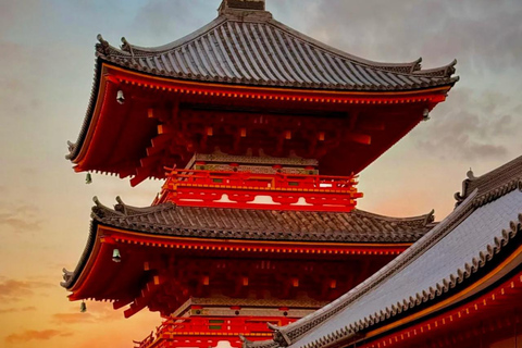 Maizuru: Shore Excursion for Cruise Guests（Private/Group） Litinerary A: Kyoto City Tour(small group)