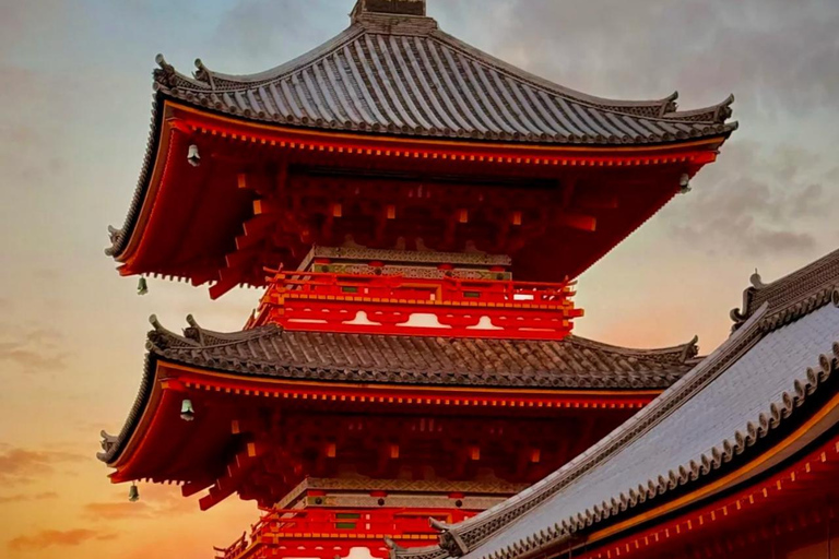 Maizuru: Shore Excursion for Cruise Guests（Private/Group） Litinerary A: Kyoto City Tour(small group)