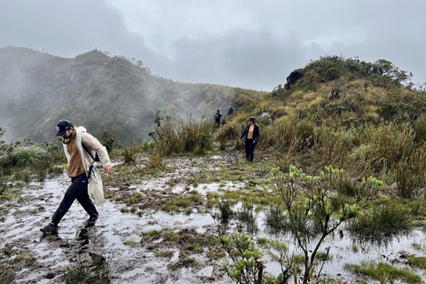 The Route of Water and Mist: Páramo Trek in Cruz Verde