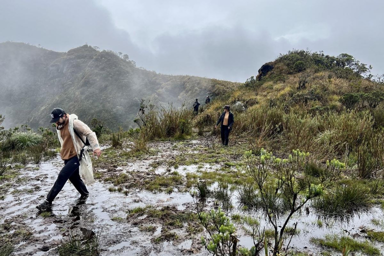 The Route of Water and Mist: Páramo Trek in Cruz Verde