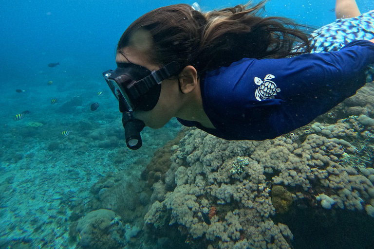 Nusa Penida: Gamat Bay & Manta Point Snorkeling Manta Point & Gamat Bay Public Snorkeling