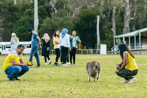 From Melbourne: Grampians National Park Group Tour