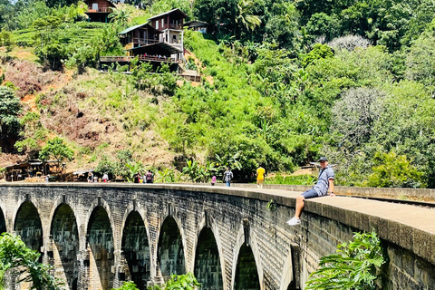 Bentota: Dagtrip Ella met treinrit en bezoek aan waterval