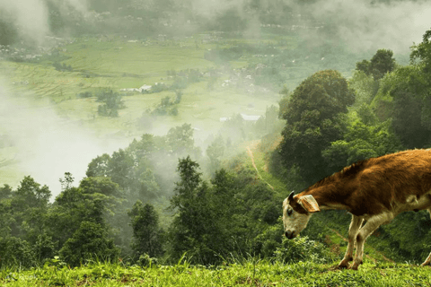 Nagarkot : vue sur le lever du soleil et randonnée d'une journée à partir de KatmandouExcursion au lever du soleil à Nagarkot et randonnée à Changu Narayan à Katmandou
