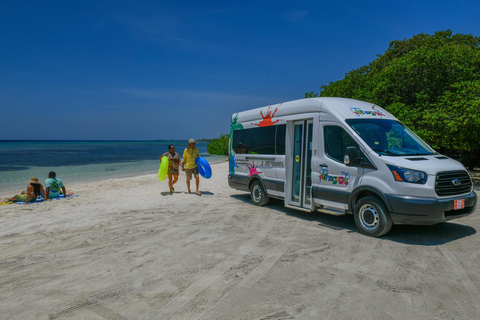 Aruba: Snorkeling Beach Hop Tour with Local Guide and Snacks