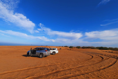 Pequeño viaje al desiertopequeño viaje al desierto