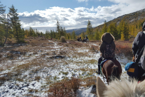 &quot;3 giorni di magia invernale nella Mongolia centrale&quot;Tour invernale in Mongolia