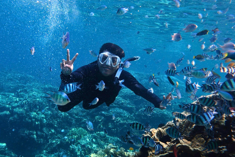 Da Nang: Cham Islands Fun Dive with Lunch and Transfers Fun Divers with Certified - two dive