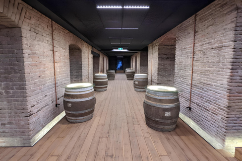 Tbilisi Wine Museum Tour & Tasting Experience