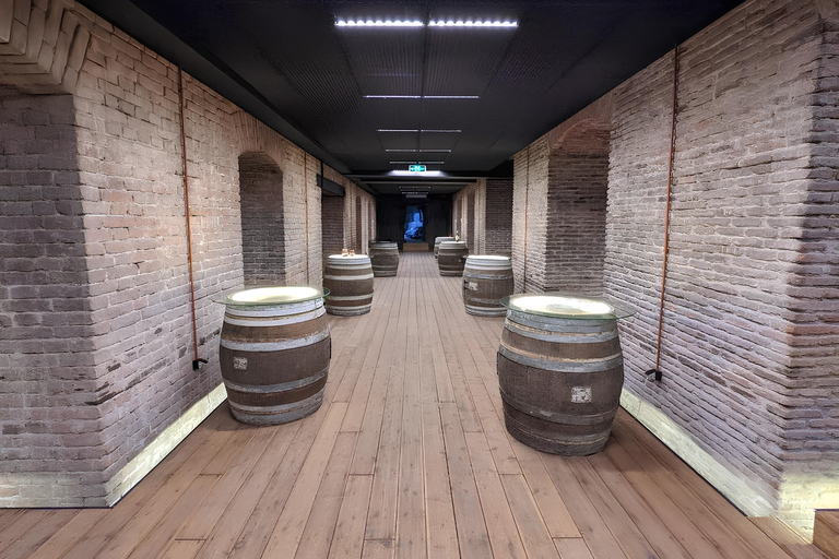 Tbilisi Wine Museum Tour & Tasting Experience