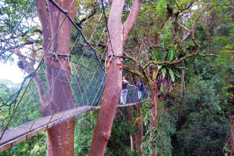 Kundasang : Poring Hot Spring + Desa & Meal Shared Tour