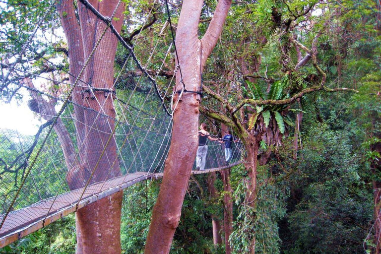 Kundasang : Poring Hot Spring + Desa & Meal Shared Tour