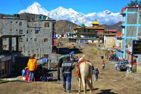 بوكارا: رحلة مغامرة لمدة 4 أيام في أبر موستانج