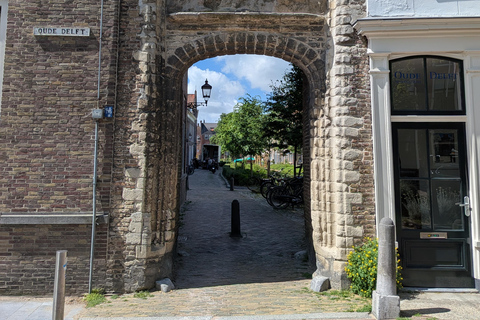 Delft: Private guided tour with a French-speaking guide