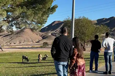 Boulder City: Hemenway Park guidad tur