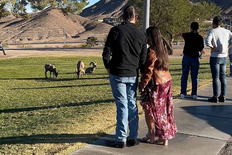 Boulder City: Hemenway Park Guided Tour. Foto: GetYourGuide Boulder City: Hemenway Park Guided Tour. Foto: GetYourGuide