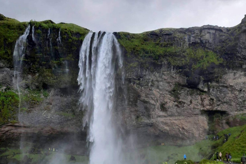 Côte sud, Islande : Visite privée d'une journée