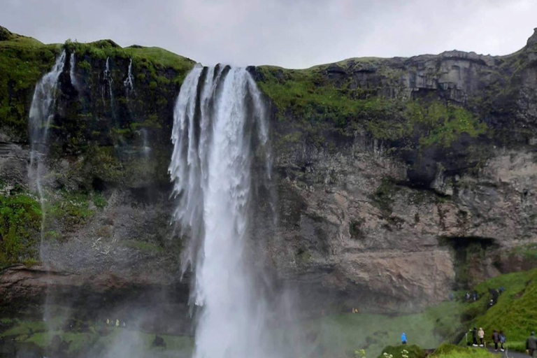 Costa Sur de Islandia: Tour privado de un día