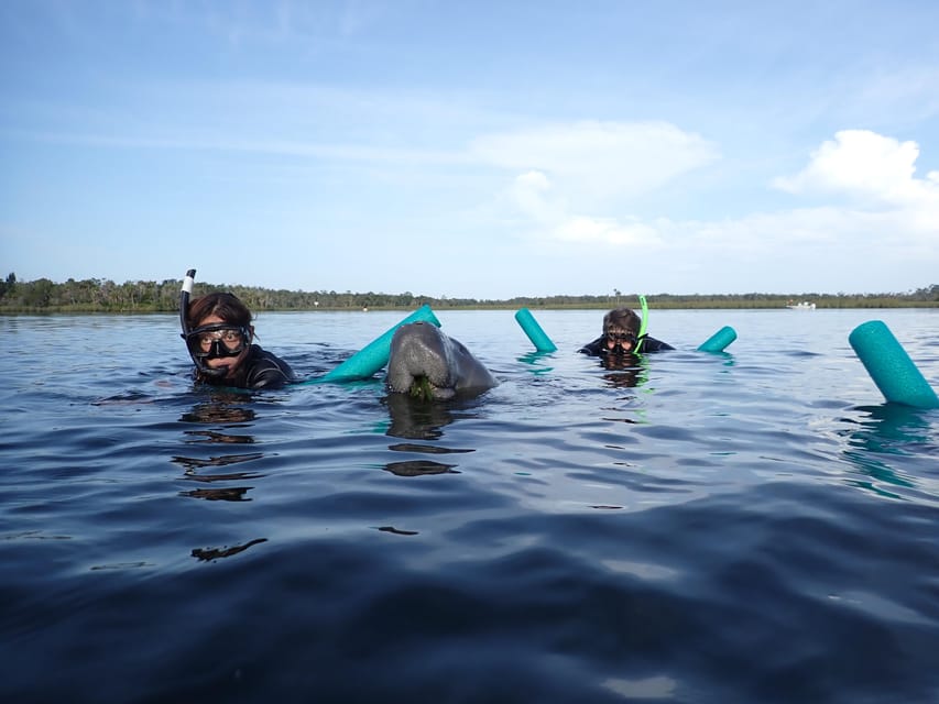 Crystal River VIP Manatee Swim W In Water Photographer GetYourGuide   145 