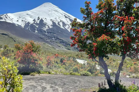 Puerto Montt: tour del vulcano Osorno Tour a terra in privato