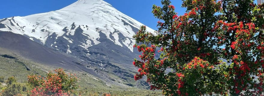 Puerto Montt : Excursion au volcan Osorno Excursion à terre en privé
