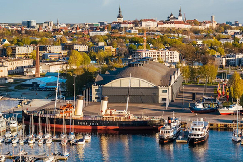 From Tallinn: Private tour around Tallinn city with minivan