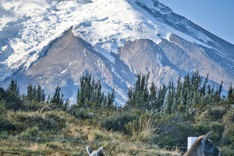 Route to Cotopaxi: Snow, Adventure, Altitude & Páramo Picnic