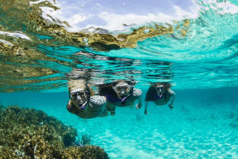 Nusa Penida: Full-Day Tour with Snorkeling at Manta Point From Bali : Snorkeling ONLY in Nusa Penida