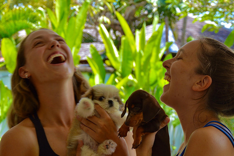 Bali Clase de Yoga para Cachorros en Canggu con Bebidas Refrescantes