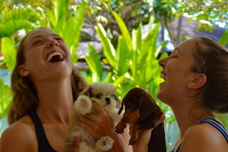 Bali: Canggu Puppy Yoga Class with Refreshing Drinks