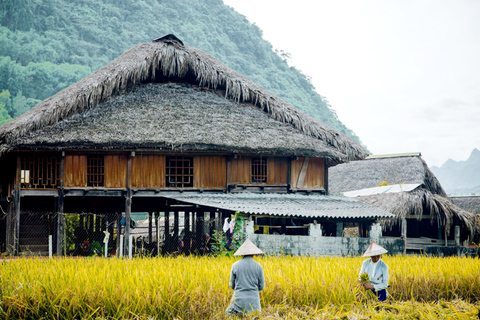 Hanoi: Sapa 3-Day Fansipan, Glassbridge, Cat Cat & Moana Half Day Glassbridge & Silver Waterfall From Sapa Town