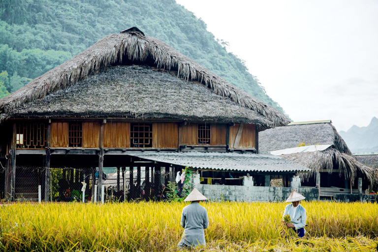 Hanoi: Sapa 3-Day Fansipan, Glassbridge, Cat Cat & Moana Half Day Glassbridge & Silver Waterfall From Sapa Town