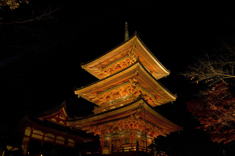 Från Osaka: Dagsutflykt till Kyoto med Fushimi Inari-helgedomen