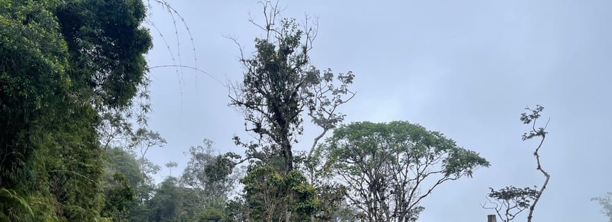 Randonnée dans la réserve d'El Oso : un paradis pour les amoureux de la nature et de l'aventure