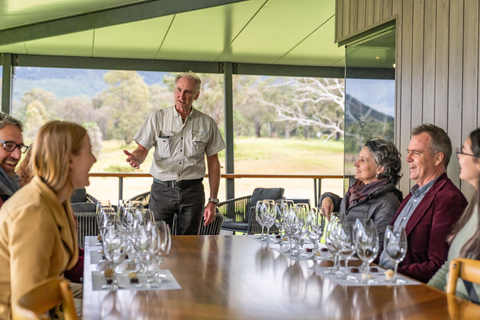 Desde Sidney: Excursión de degustación de vinos y quesos del Valle Hunter