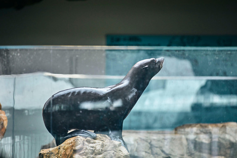 Biglietto d'ingresso all'acquario di KyotoBiglietto d'ingresso all'acquario di Kyoto (giorni feriali)