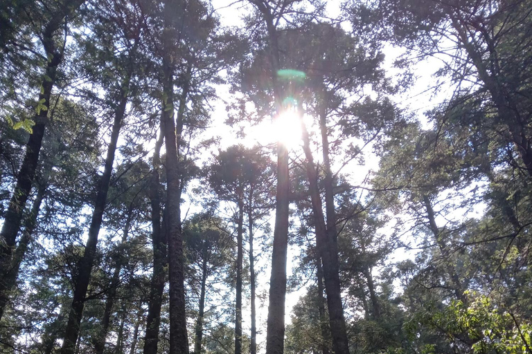 Cidade do México: Caminhada matinal no Mirador Coconetla