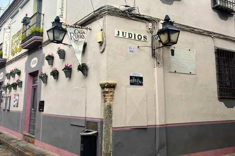 Córdoba: Tour privado de la Historia de los Judíos