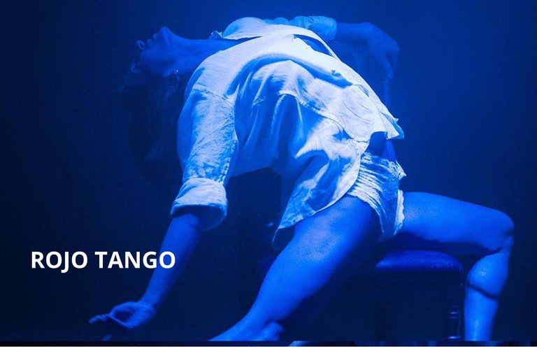 Buenos Aires: &quot;Rojo Tango - Den mest exklusiva och VIP Tangoshowen